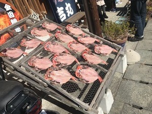 IMG_1006.jpg