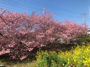 IMG_1005.jpg